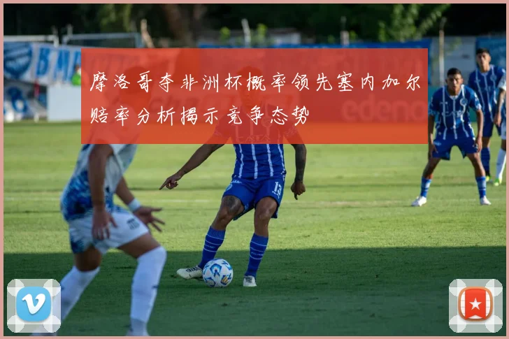 摩洛哥夺非洲杯概率领先塞内加尔赔率分析揭示竞争态势