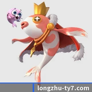 龙珠体育 APP